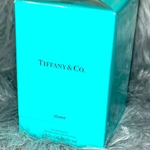 🩵🩶Tiffany & Co🩵🩶